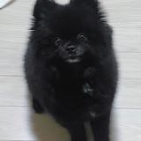so_hee