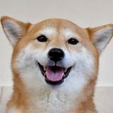 じゃがバター係長