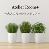 Atelier Room＋
