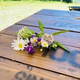 niwaco_garden