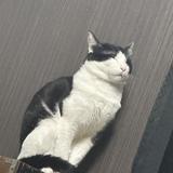 れい⇒時間問わず相談聞く人