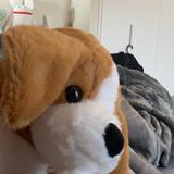 ペネね