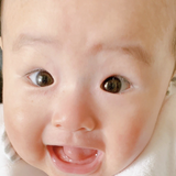 ハピット