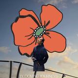 Blooming Journeys