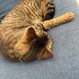 ぉぃら