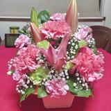 strawberry894645