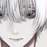 二条珀