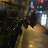 Hiroto Takeda