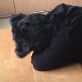 猫背のわたし。