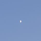 ﾎﾞﾝｽﾞ