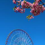 aozora0412