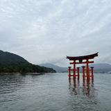 chinsukou25