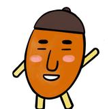 ドングリマツリのぐり