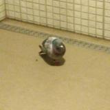 ただただ相槌を打つ人