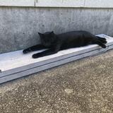 霜月のまなぶん