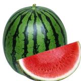 強スイカ