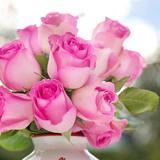 Rose　〜GraceBless主宰〜