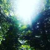 Peaceful light