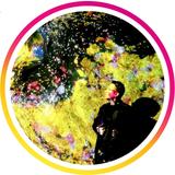 CreativeStudio ISOLA