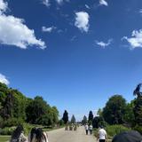 ごまだんご改