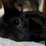 ショート動画編集代行スタジオ