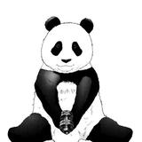 名前は未だない。