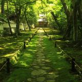 Koki 旅と建築パース