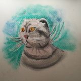 TurkishCat