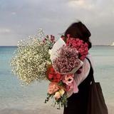 rino_blog