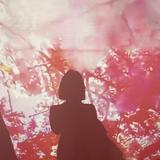 ねね動画編集