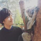 Bob君