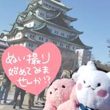 manaのぬいぐるみ屋さん