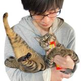 インド✨️猫好きタロット占い