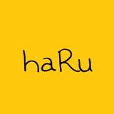haLky studios