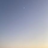 moon_ studio