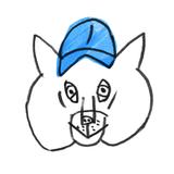 アオネコデザイン