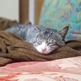 のりあき27