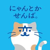 荒井慎一