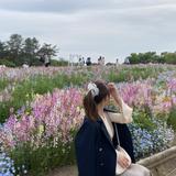 看護師あい：鬱、ACP、生活、貴方の心に