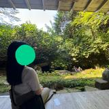 らんこ_動画クリエイター