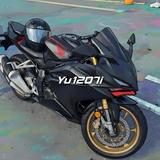 Yu1207i