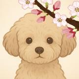さくらの相談室☺︎