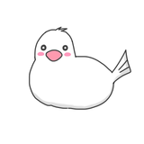 コルピース