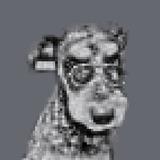 Design Theodore