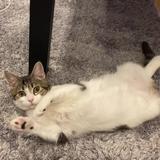 し〜ちゃんymz