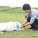 ながまる5212