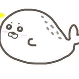 ココントウザイ