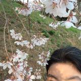 アンジュ88