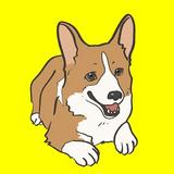 タビスタ