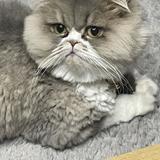 かーちゃん先生